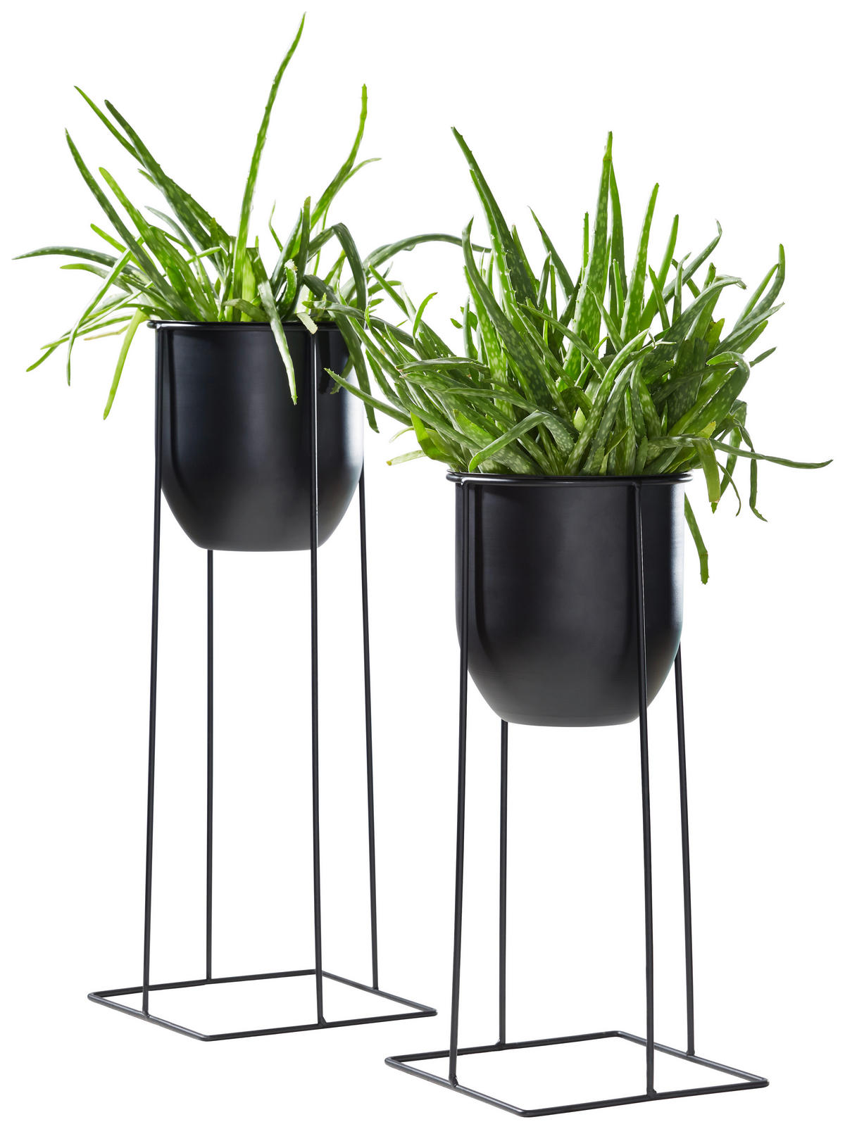 BLUMENTOPF   - Schwarz, Basics, Metall (19/40cm) - Ambia Home