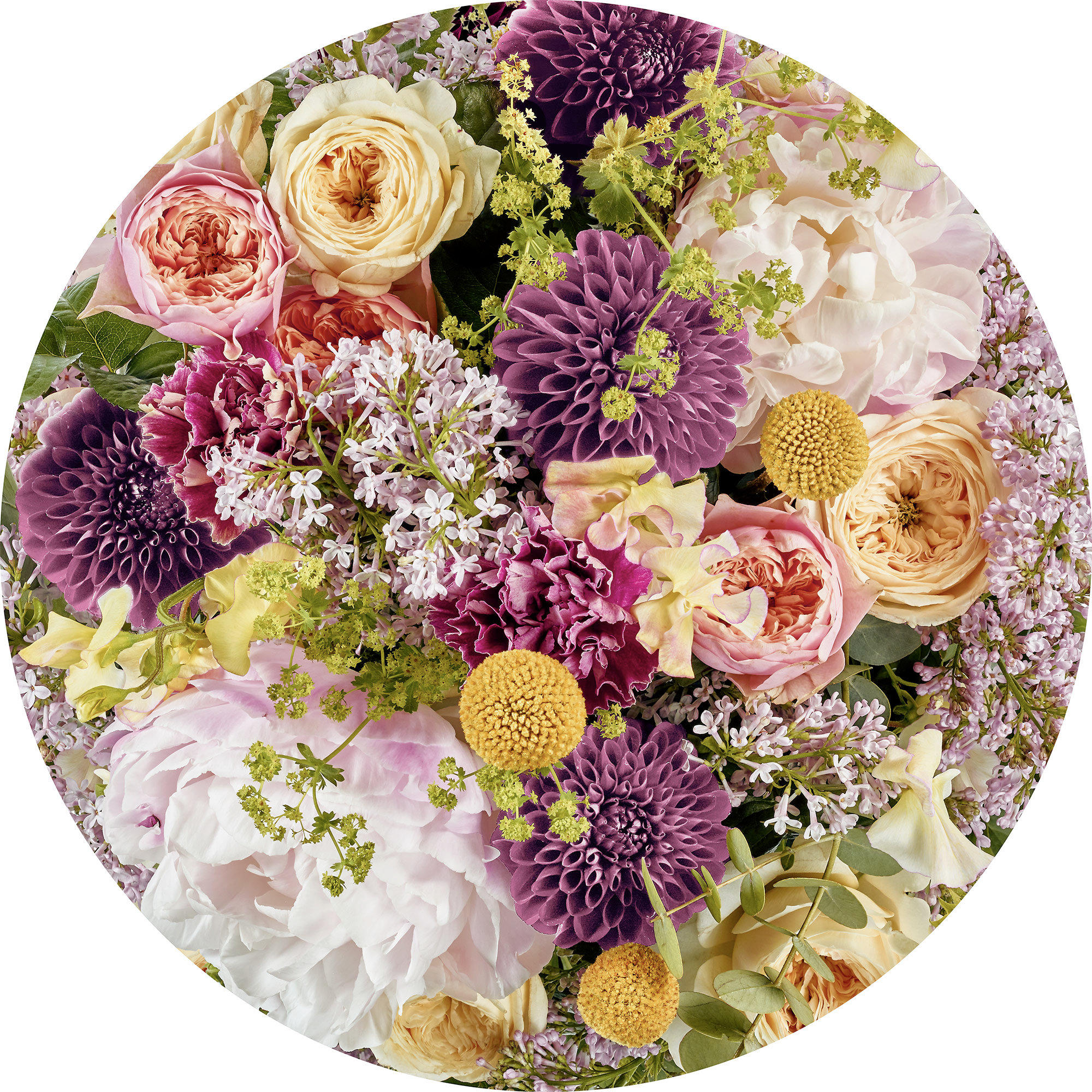 FOTOTAPETE  - Multicolor, Trend (125cm) - Xora