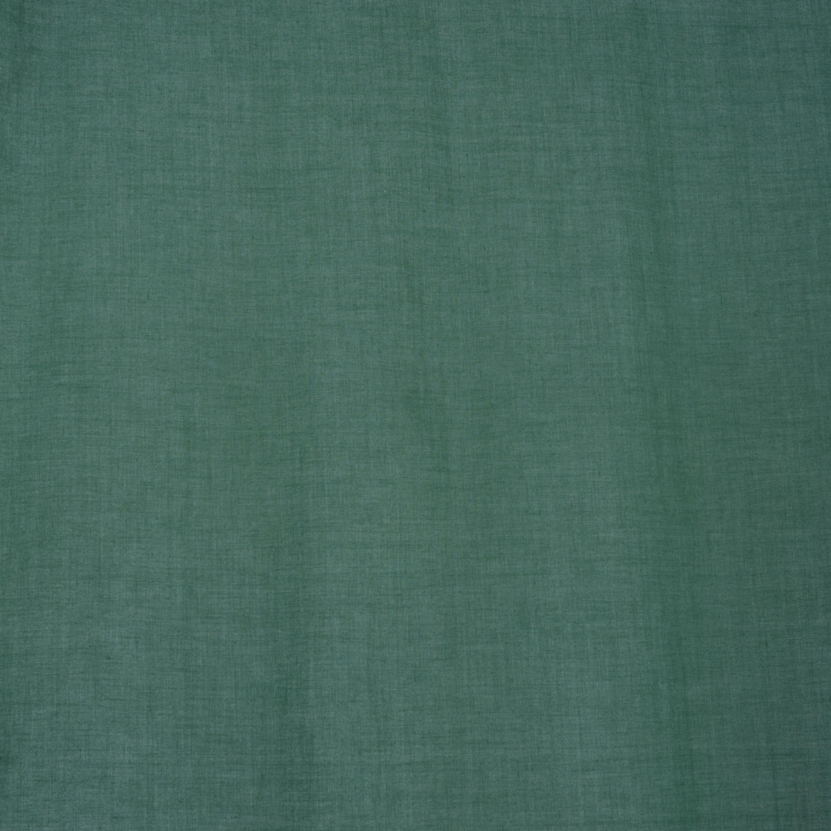 FERTIGVORHANG  transparent  140/255 cm   - Dunkelgrün, Basics, Textil (140/255cm) - Bio:Vio