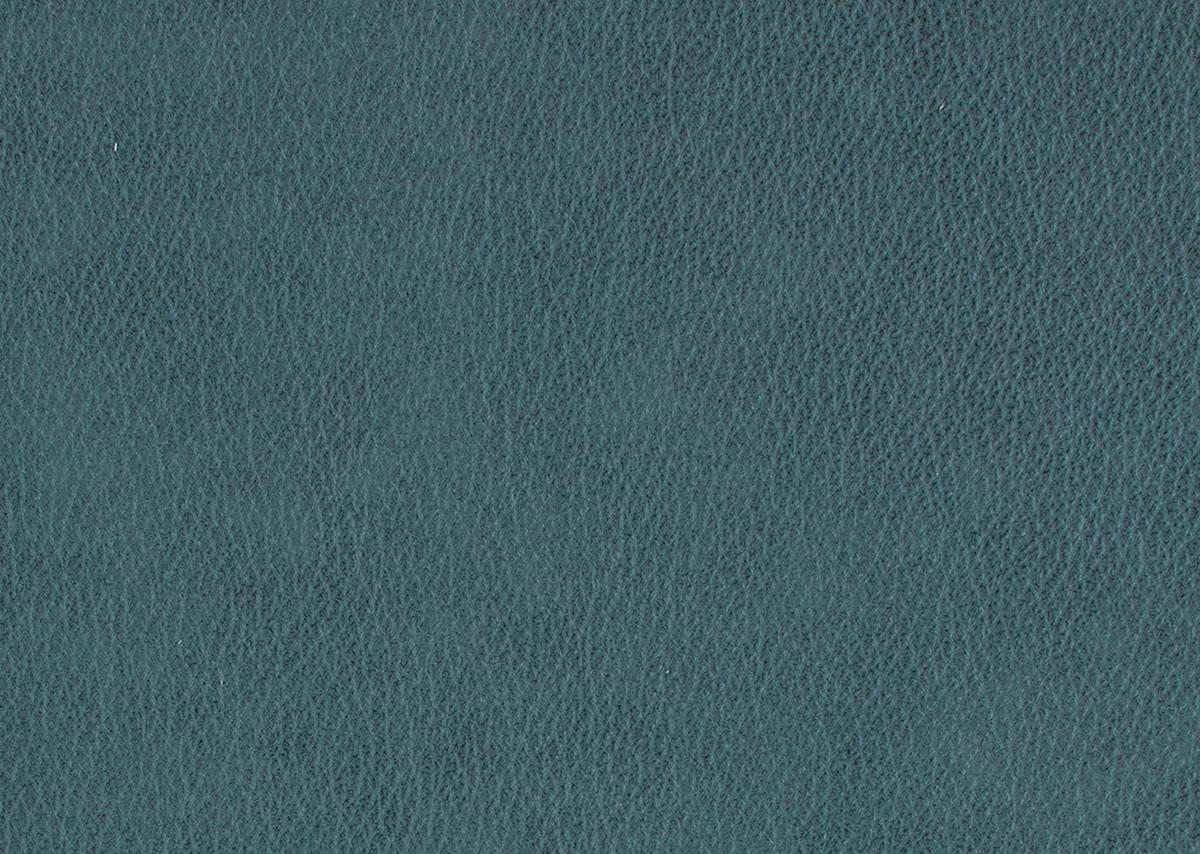 2-SITZER-SOFA in Echtleder Graublau  - Graublau/Schwarz, Konventionell, Leder/Metall (178/103/92cm) - Dieter Knoll