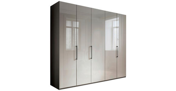 KLEIDERSCHRANK 250/216/58 cm 5-türig Grau  - Schieferfarben/Grau, KONVENTIONELL, Glas/Holzwerkstoff (250/216/58cm) - Novel