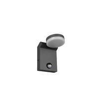 AUßENWANDLEUCHTE 10/19 cm   - Anthrazit, Basics, Metall (10/19cm)