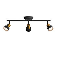 REFLEKTOR  CONDUIT 11/48/13 cm            - črna, Basics, kovina (11/48/13cm) - Philips