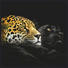 ACRYLGLASBILD - Silberfarben/Multicolor, KONVENTIONELL, Kunststoff/Metall (50/50/4,0cm) - EUROGRAPHICS