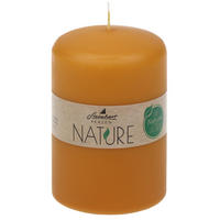 STUMPENKERZE  - Honig, Basics, Naturmaterialien (6,7/10cm)