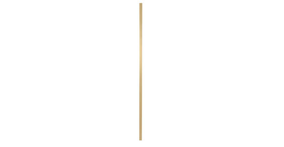WANDSPIEGEL 100/200/2,5 cm in rechteckig - Goldfarben, Trend, Glas/Holzwerkstoff (100/200/2,5cm) - Landscape