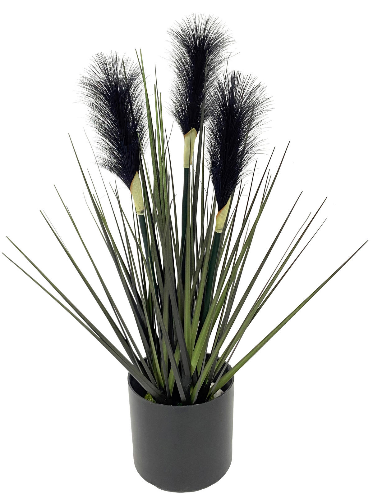BAMBUSZ - Basics (40cm) - Ambia Home