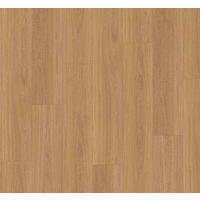 VINYLBODEN Vinyl Basic 5.3  per  m² - Eichefarben, Basics, Kunststoff (120.9/22.5/0.53cm) - Parador