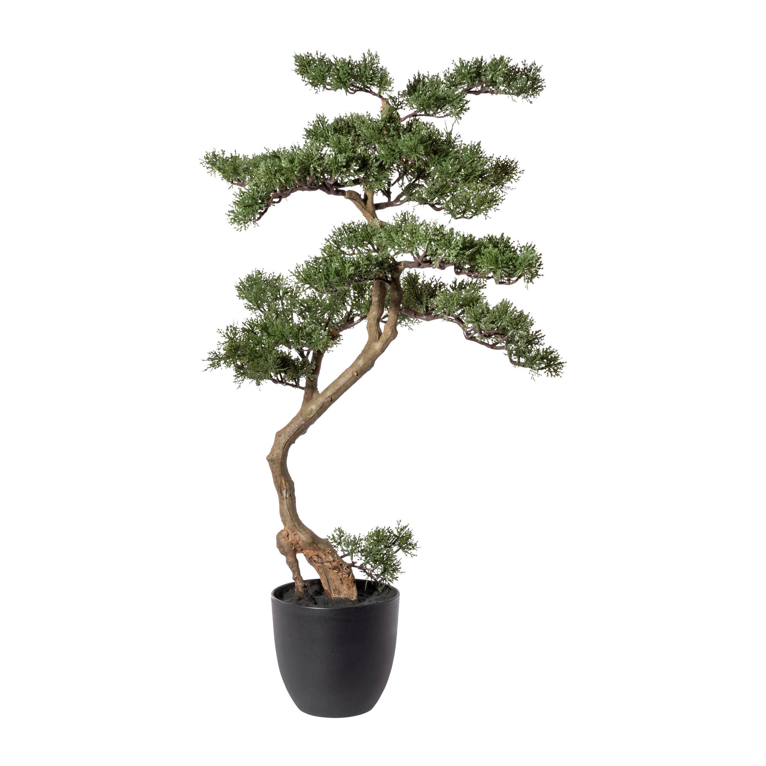 KUNSTPFLANZE Bonsai 90 cm  - Schwarz/Braun, Design, Kunststoff (90cm) - P & B