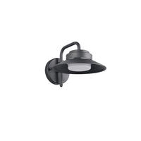 AUSSENWANDLEUCHTE Atrato 26/16,5/20 cm  - Anthrazit/Weiß, KONVENTIONELL, Kunststoff/Metall (26/16,5/20cm) - Trio Leuchten