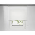 ROLLO 100/160 cm  - Weiß, Design, Kunststoff (100/160cm) - Boxxx
