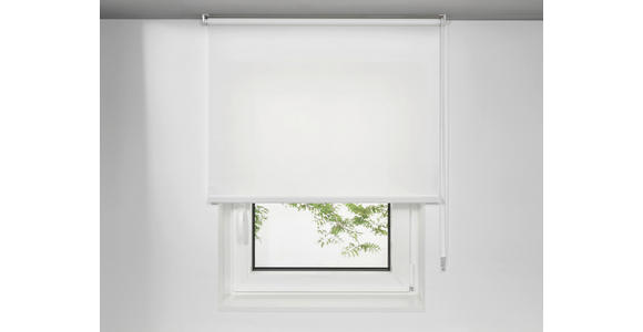 ROLLO 100/160 cm  - Weiß, Design, Kunststoff (100/160cm) - Boxxx