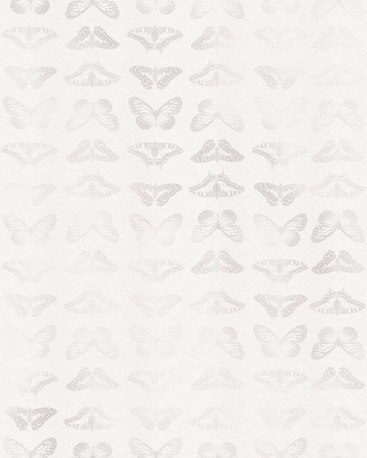 NON WOVEN-TAPET 200/250 cm  - vit, Basics (200/250cm) - Komar