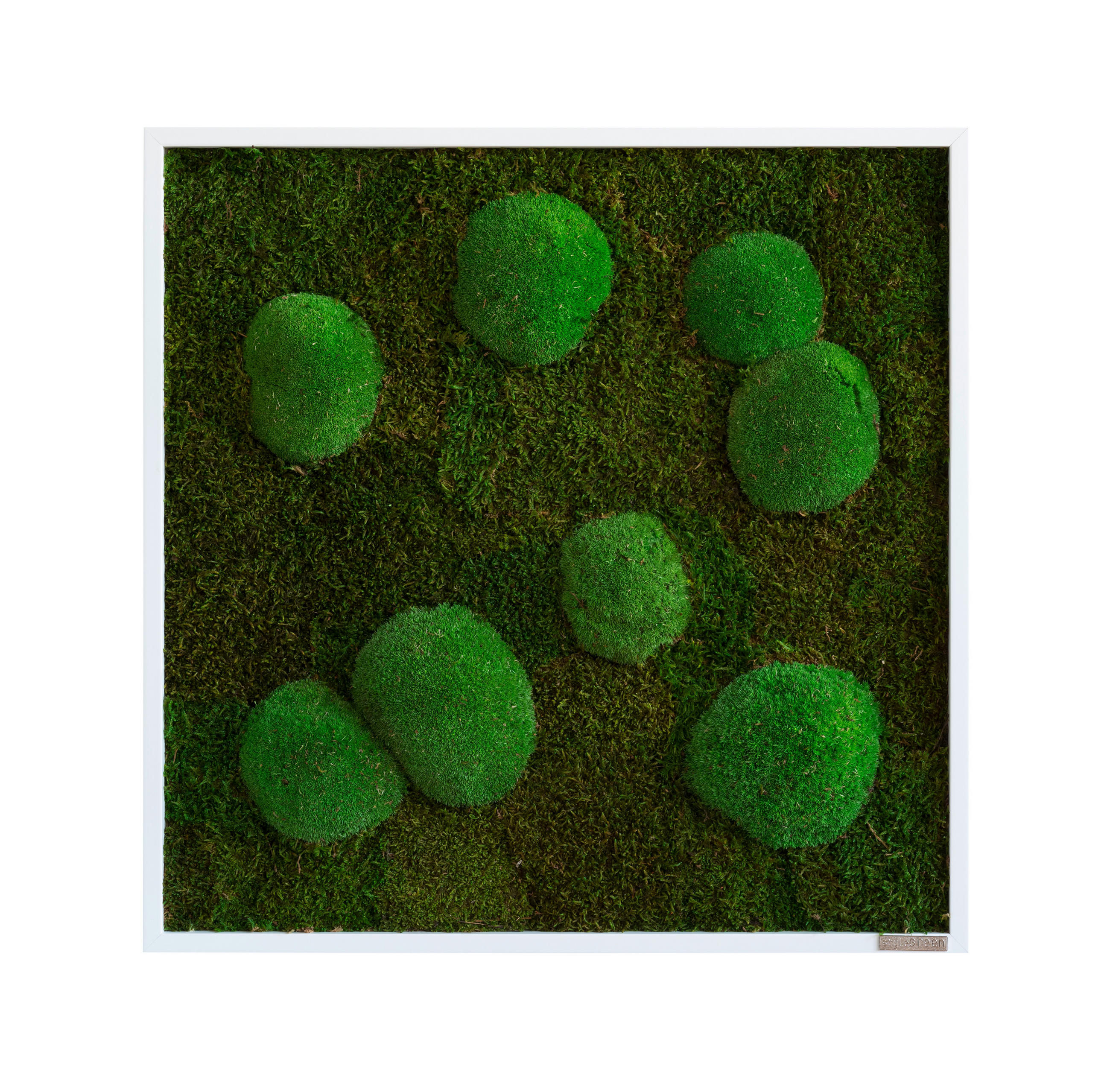 MECHOVÝ OBRAZ - bílá/zelená, Basics, dřevo/přírodní materiály (55/55/7cm)