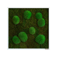 MOOSBILD Stylegreen  - Weiß/Grün, Basics, Naturmaterialien/Holz (55/55/7cm)