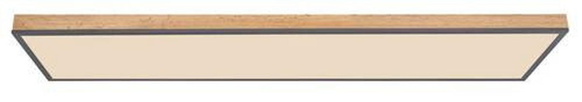 STROPNA LED-SVETILKA  DORO //2700-6000 K/230 V/ - barve grafita/opal, Basics, kovina/umetna masa (120/30/7,5cm) - Globo