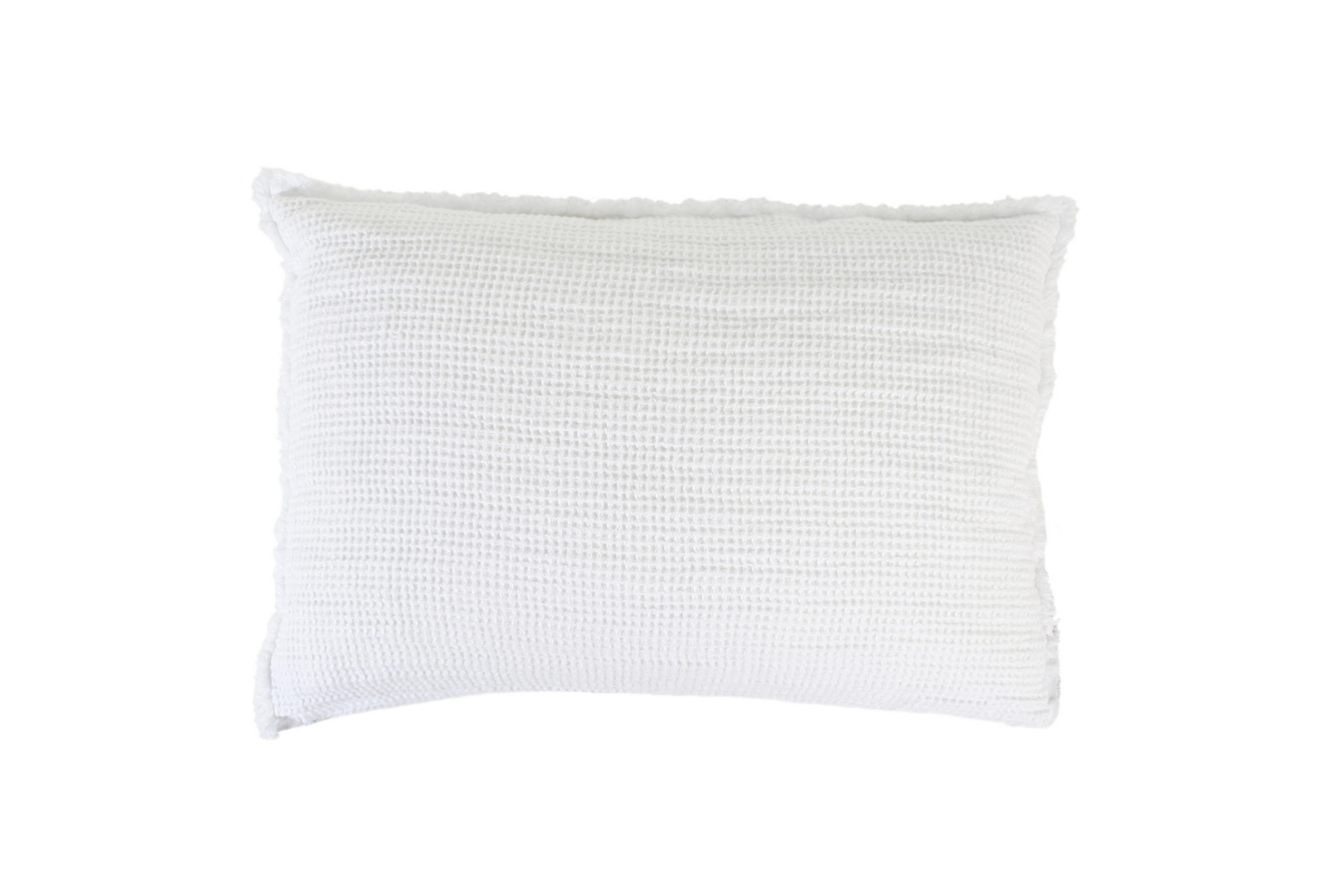 KISSENHÜLLE Honeybee 40/60 cm  - Weiß, KONVENTIONELL, Textil (40/60cm) - Zoeppritz