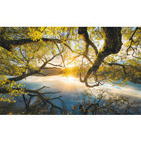 NON WOVEN-TAPET 400/250 cm  - Natur (400/250cm)