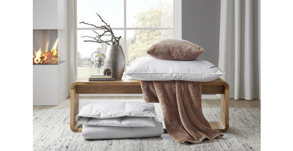 GANZJAHRESDECKE 140/200 cm - Weiß, Basics, Textil (140/200cm) - Sleeptex