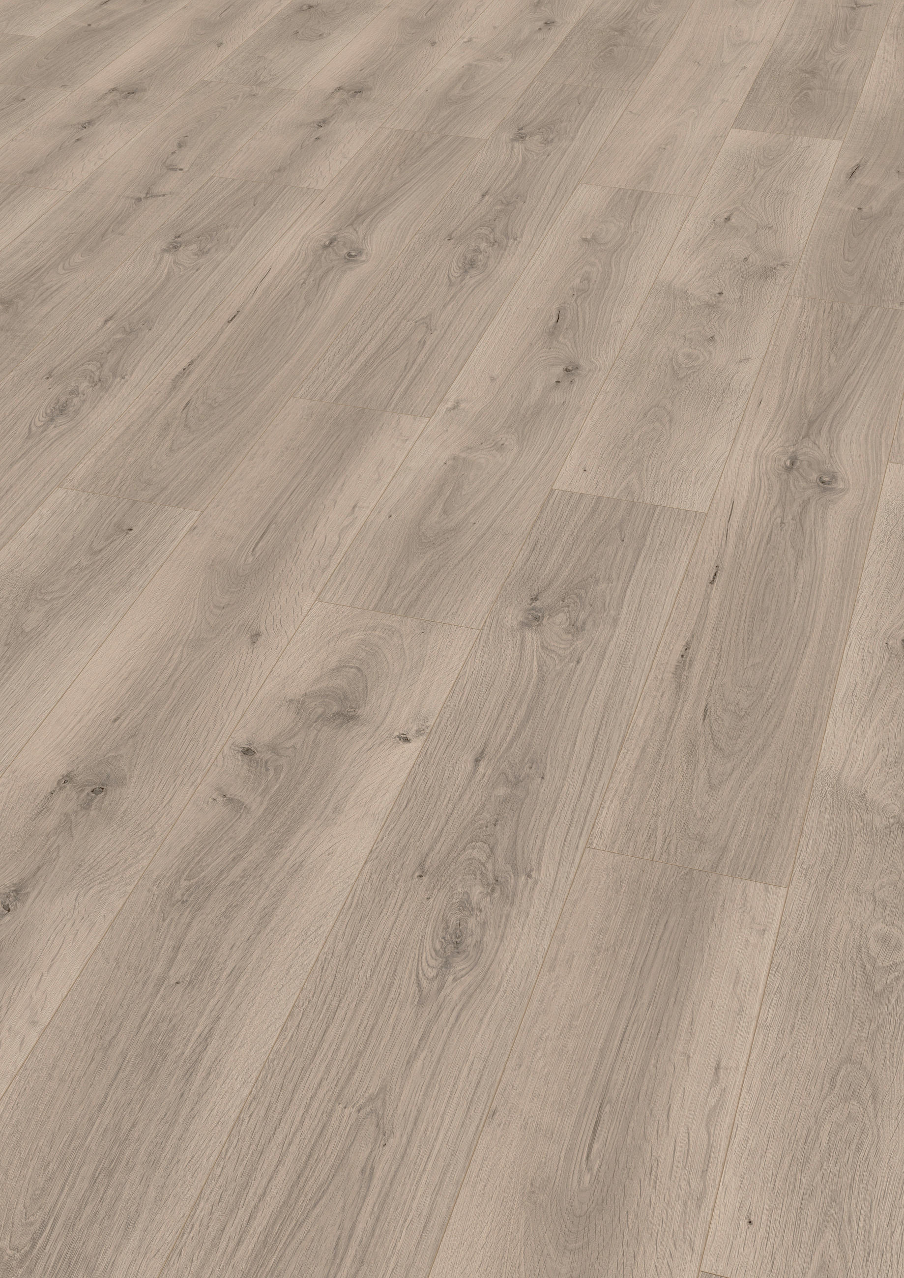 LAMINATBODEN Pinot Eiche grau  per  m² - KONVENTIONELL (129,2/19,3/0,8cm) - Venda