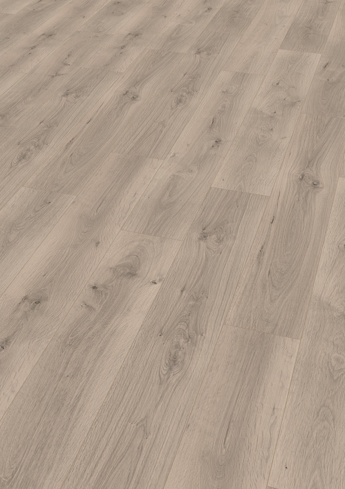 LAMINATBODEN Pinot Eiche grau  per  m² - KONVENTIONELL (129,2/19,3/0,8cm) - Venda