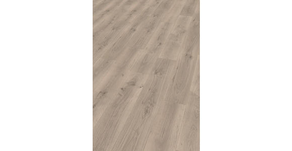 LAMINATBODEN Pinot Eiche grau  per  m² - KONVENTIONELL (129,2/19,3/0,8cm) - Venda
