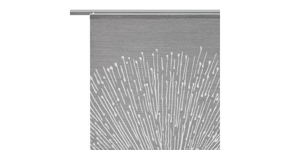 FLÄCHENVORHANG in Grau transparent - Grau, Design, Textil (60/245cm) - Novel
