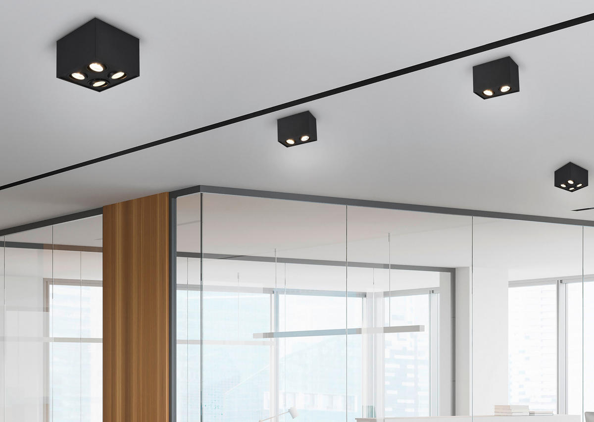 DECKENLEUCHTE     - Basics (17,8/12,5/9,6cm) - Trio Leuchten