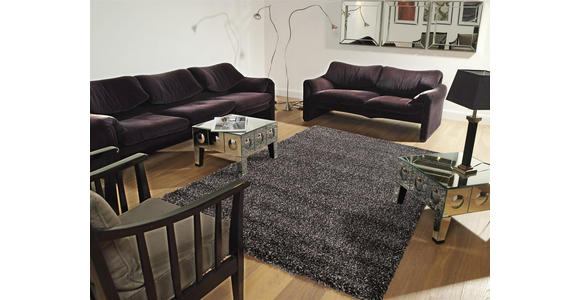 HOCHFLORTEPPICH 120/170 cm Fashoin Shaggy Braun, Grau - Braun/Grau, Basics, Textil (120/170cm) - Novel