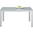 GARTENTISCH Glas, Metall Grau, Silberfarben - Silberfarben/Grau, Design, Glas/Metall (140/90/72cm) - Xora GARTENTISCH Glas, Metall Grau, Silberfarben - Silberfarben/Grau, Design, Glas/Metall (140/90/72cm) - Xora
