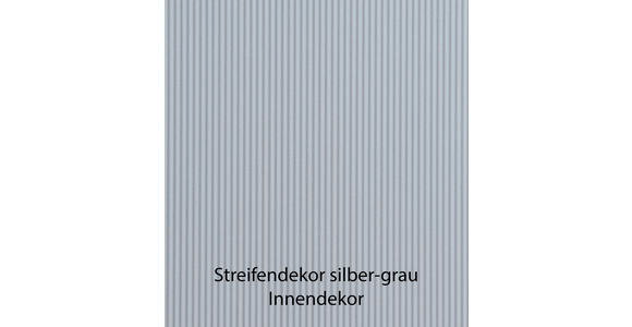 SCHWEBETÜRENSCHRANK  in Graphitfarben, Eiche Bianco  - Eiche Bianco/Graphitfarben, Design, Holz/Holzwerkstoff (300/236/67cm) - Novel