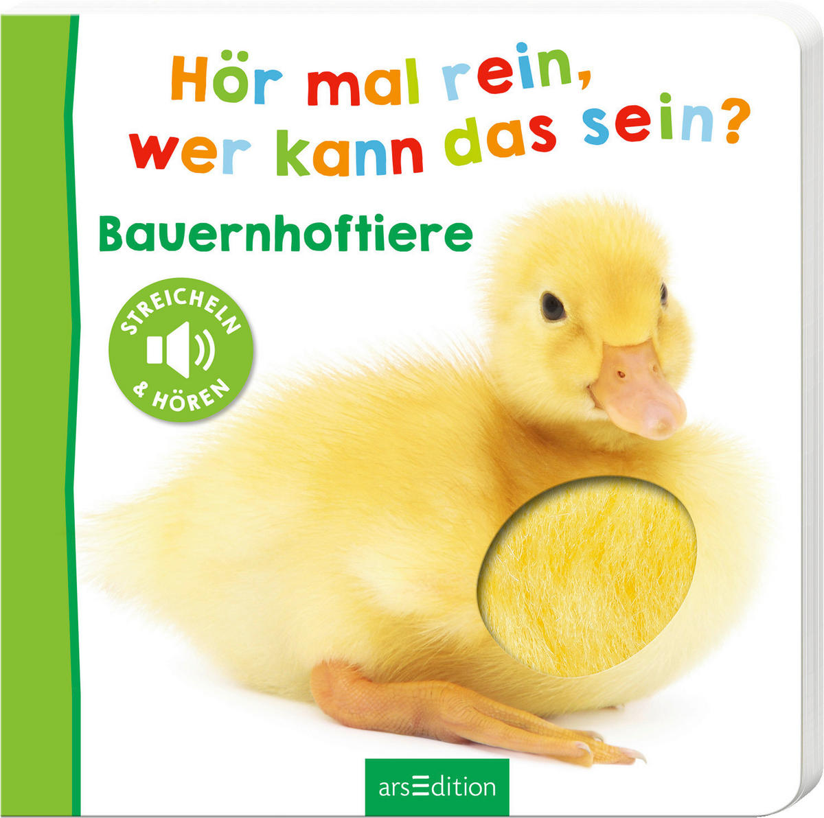 BUCH - Multicolor, Basics (20/20/2cm)