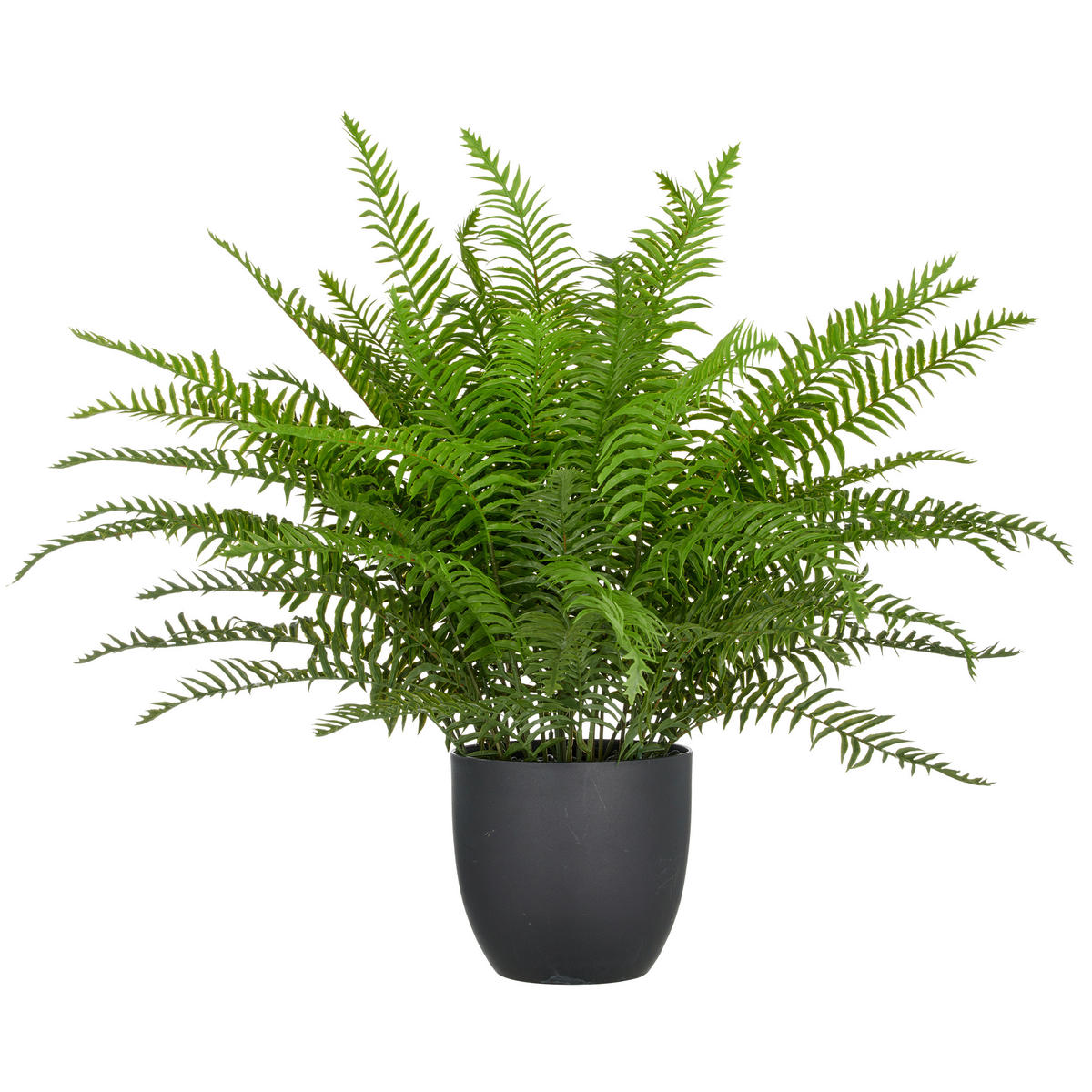 KUNSTPFLANZE Farn 60 cm  - Schwarz/Grün, Basics, Kunststoff (60cm) - P & B