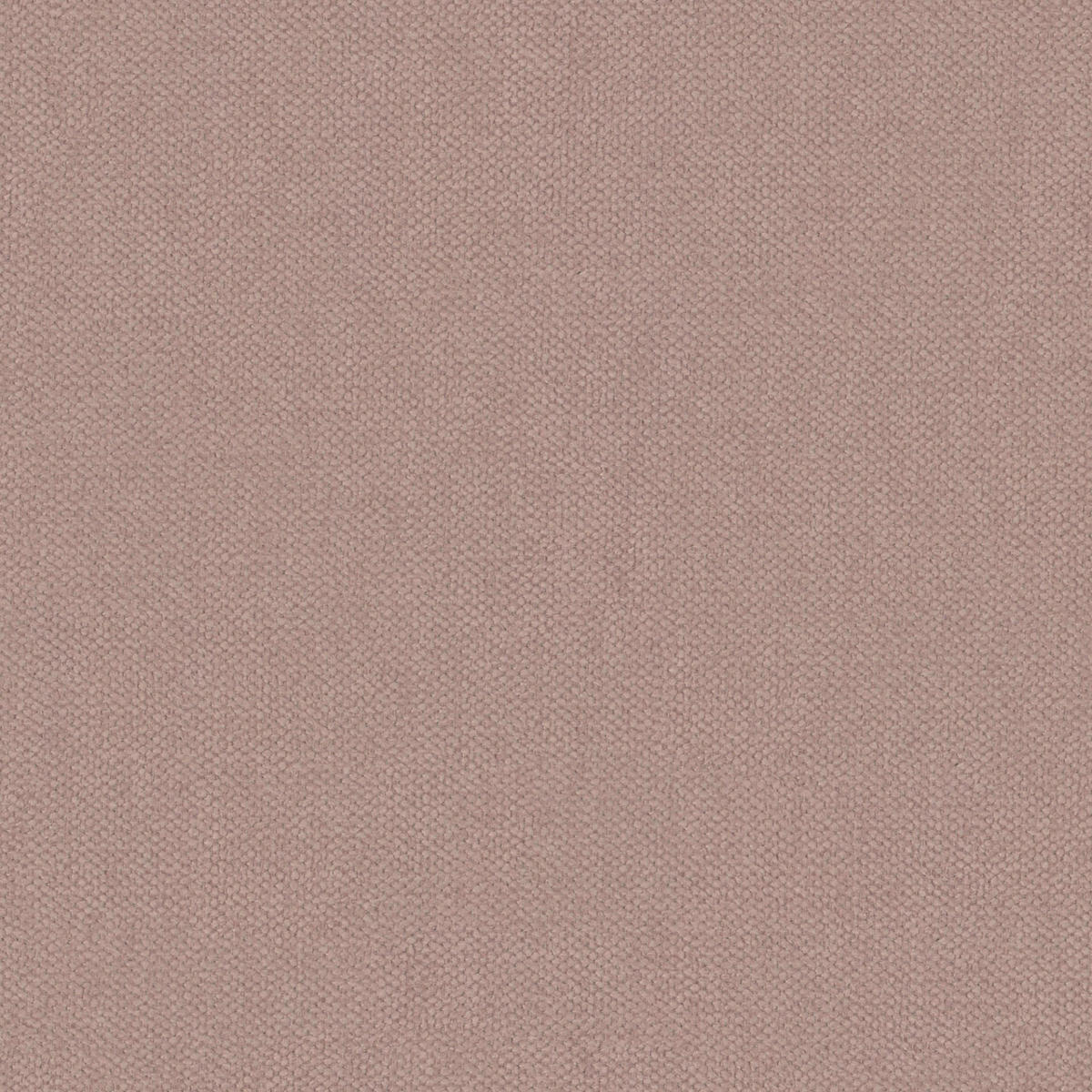 SCHLAFSOFA  in Velours Grau  - Chromfarben/Rosa, Design, Kunststoff/Textil (205/88/96cm) - Ti'me