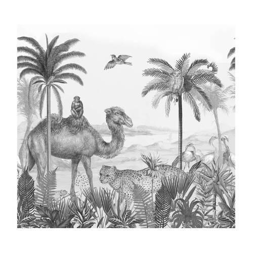 Xora Fototapete Grau, Schwarz, Weiß 300x280 cm