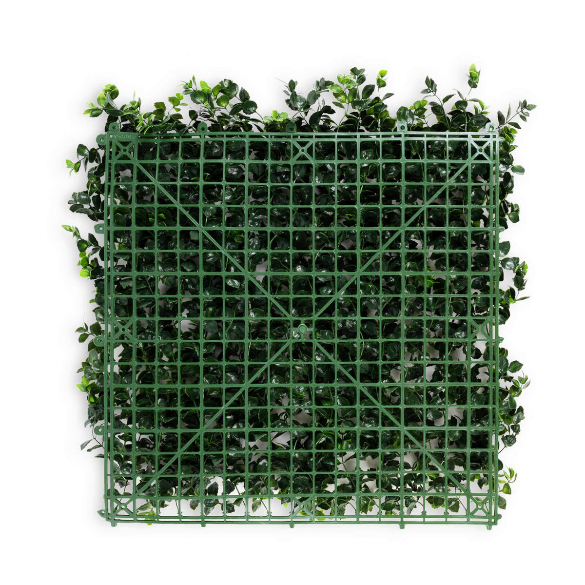 Wandverkleidung Pflanzenwand  Kunststoff  - Mintgrün, Trend, Kunststoff (50/50cm) - Floordirekt