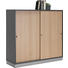 AKTENSCHRANK Graphitfarben, Eichefarben - Eichefarben/Graphitfarben, KONVENTIONELL, Holzwerkstoff (120/110/40cm) AKTENSCHRANK Graphitfarben, Eichefarben - Eichefarben/Graphitfarben, KONVENTIONELL, Holzwerkstoff (120/110/40cm)