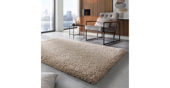 HOCHFLORTEPPICH 120/170 cm Beige  - Beige, Basics, Textil (120/170cm) - Novel