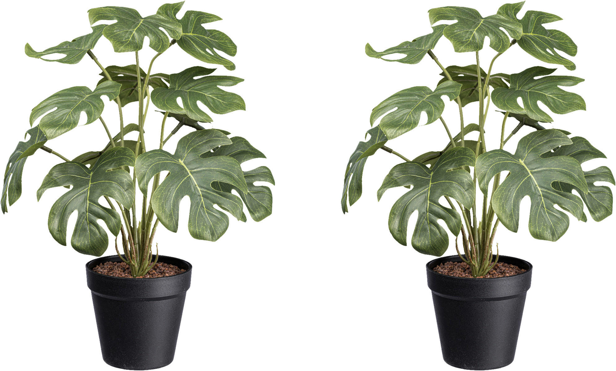 KUNSTPFLANZE Philodendron 38 cm  - Schwarz/Weiß, Design, Kunststoff (38cm) - P & B