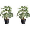 KUNSTPFLANZE Philodendron 38 cm  - Schwarz/Weiß, Design, Kunststoff (38cm) - P & B