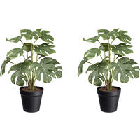 KUNSTPFLANZE Philodendron 38 cm  - Schwarz/Weiß, Design, Kunststoff (38cm) - P & B