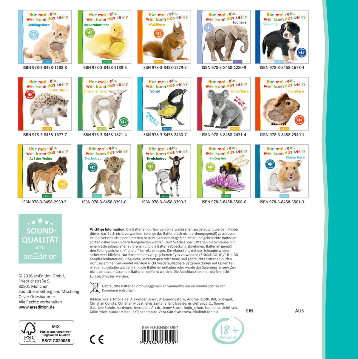 BUCH - Basics (20/20/2cm)