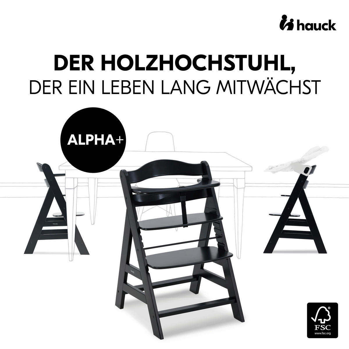 Hauck HOCHSTUHL ALPHA + Schwarz jetzt nur online ➤