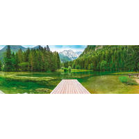 FOTOTAPETE  - Grün, Natur, Papier (368/127cm) - Komar
