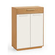 GARDEROBE 6-teilig  in 250/195/40 cm  - Eichefarben/Anthrazit, Design, Glas/Holz (250/195/40cm) - Novel