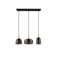 PENDELLEUCHTE 63/20/150 cm   - Schwarz, Design, Metall (63/20/150cm) - Trio Leuchten