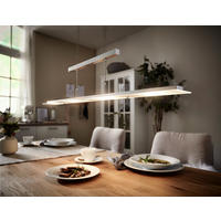 LED-HÄNGELEUCHTE TENSO 88/9/80-150 cm   - Nickelfarben, Design, Glas/Metall (88/9/80-150cm) - Fischer & Honsel