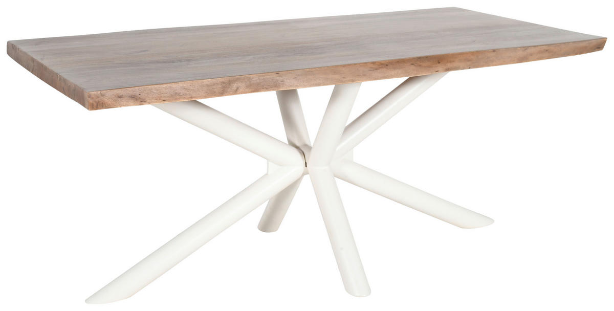 TISCHGESTELL Creme  - Creme, Design, Metall (160/75/72cm) - Landscape