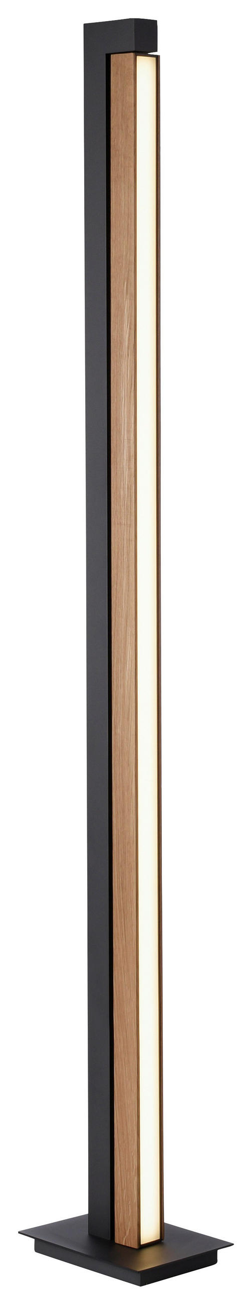 LED-STEHLEUCHTE 22/16/140 cm Minimalistisch  - Design (22/16/140cm) - Neuhaus PURE