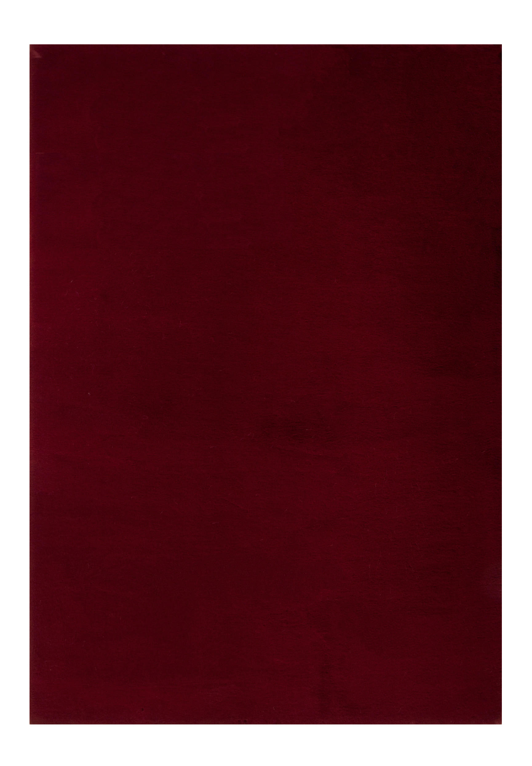 TEPIH VISOKOG FLORA  crvena     - crvena, Trendi, tekstil (160/230cm) - Novel